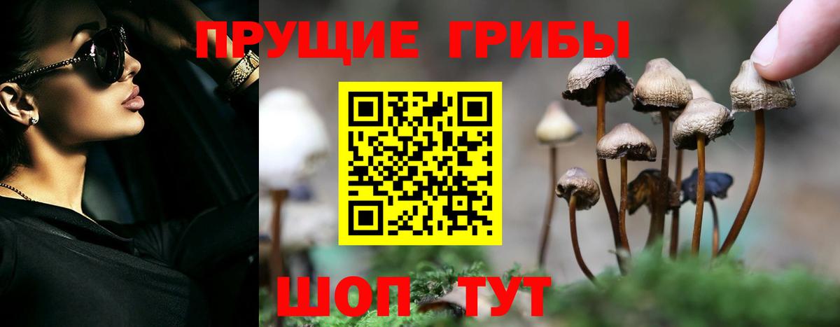 Псилоцибиновые грибы мицелий  Псилоцибиновые грибы Magic Shrooms  Вход с VPN  Усинск 